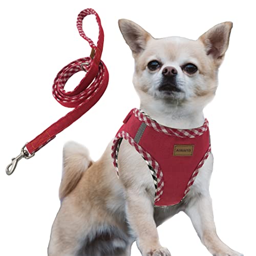 Aiminto Premium Denim Hundegeschirr und Leine Set, Step In, atmungsaktives Mesh, leicht, reflektierende Weste Geschirr - für Katzen und extra kleine Hunde (Rot, XXXS) von aiminto