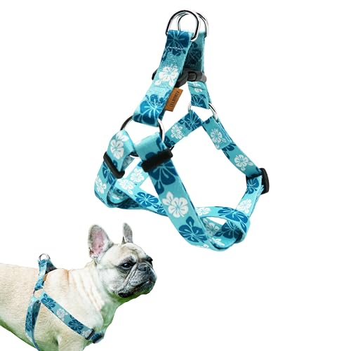 Aiminto Verstellbares Hundegeschirr, weiches Neopren, gepolstert, zum Hineinsteigen, einfaches Gehen, kein Ziehen, für kleine/mittelgroße und große Rassen (Hawaii-Blau, M-3/4x43-61 cm) von aiminto