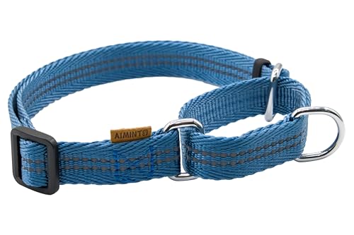 Aiminto Verstellbares reflektierendes Martingale-Hundehalsband aus Nylon, für Training und Spazierengehen, Blau, Größe M (Halsumfang: 38,1 cm - 55,9 cm, Breite: 1,9 cm) von aiminto