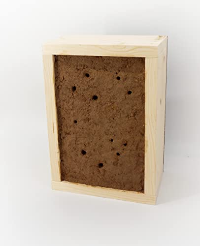 aktiongruen Lehmsteilwand für Wildbienen im Holzkasten, Braun von aktiongruen