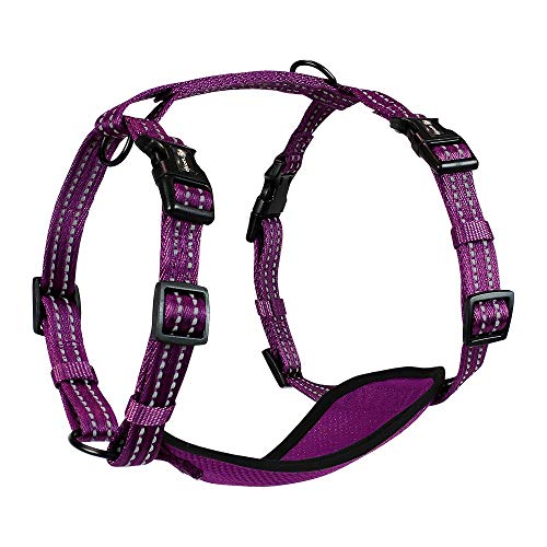 Alcott Adventure Harness Medium, Violett (HNS AH MD PL) von alcott