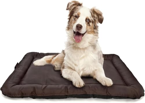 all Pets United® Hundekissen Hundebett Indoor & Outdoor; Hunde-Kissen Hunde-Körbchen; Schlafplatz für Hund & Katzen (L - 100x70 cm) von all Pets United