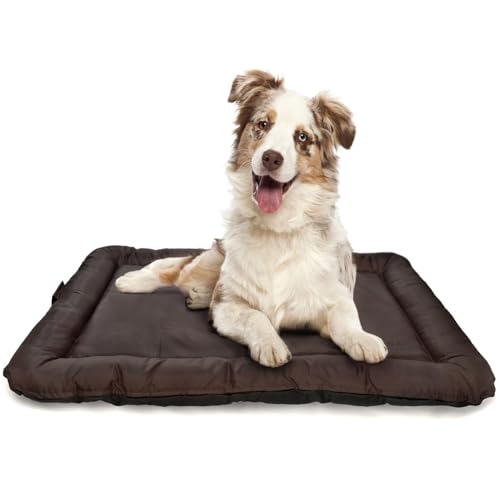 all Pets United® Hundekissen Hundebett Indoor & Outdoor; Hunde-Kissen Hunde-Körbchen; Schlafplatz für Hund & Katzen (L - 95x65 cm) von all Pets United