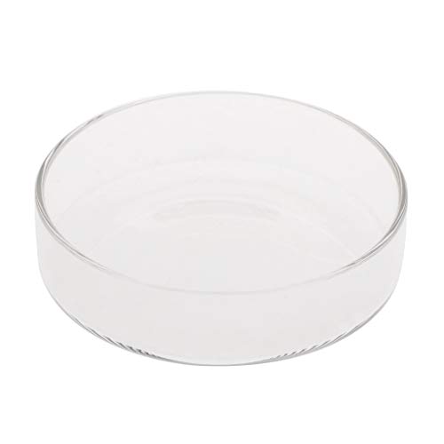 Garnelen-Futternapf aus transparentem Glas, 9,9 cm, 8,9 cm, 8,1 cm, 6,6 cm, 6,1 cm, rundes Tablett für Fische von alloneslife