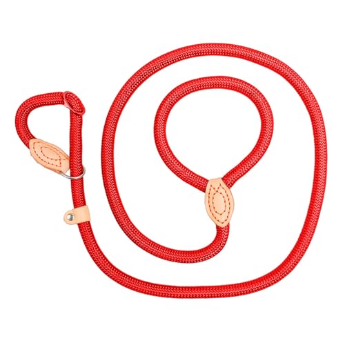 alloneslife Hundeleine, rutschfest, lang, für Training, Spazierengehen, Schwimmen, Wandern (rot, 14 mm x 1,5 m) von alloneslife