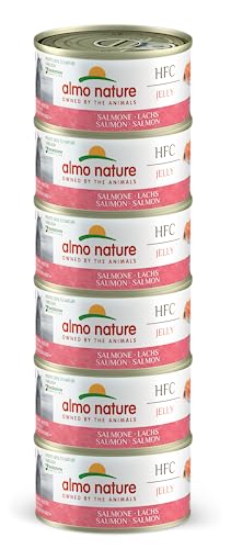 almo nature HFC Jelly Megapack, Nassnahrung für Katzen - Lachs (6 Dosen x 70g) von almo nature