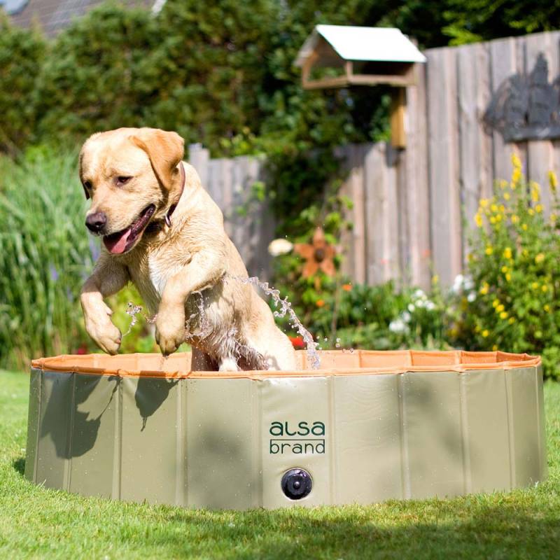 alsa-brand Dog-Playpool grün, Maße: ca. 160 x 30 cm von alsa-brand