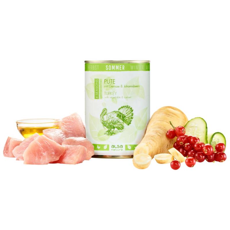 alsa-nature 4-SEASONS Sommer-Menü Pute mit Pastinake, Gurke und Johannisbeere, Anzahl: 400 g, 400 g, Hundefutter nass von alsa-nature