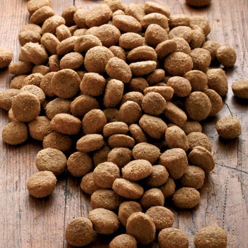 alsa-nature Big-Junior Medial Protein Trockenfutter, 2 x 12 kg, Hundefutter trocken von alsa-nature