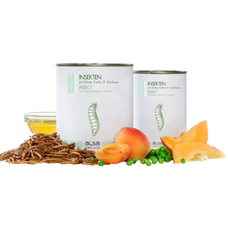 alsa-nature INSECTUM Insekten mit Erbse, Kürbis & Aprikose, Anzahl: 12 x 375 g, 375 g, Hundefutter nass von alsa-nature