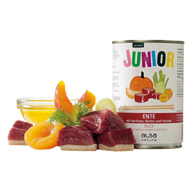 alsa-nature JUNIOR Ente mit Aprikose, Kürbis & Fenchel, Anzahl: 400 g, 400 g, Hundefutter nass von alsa-nature