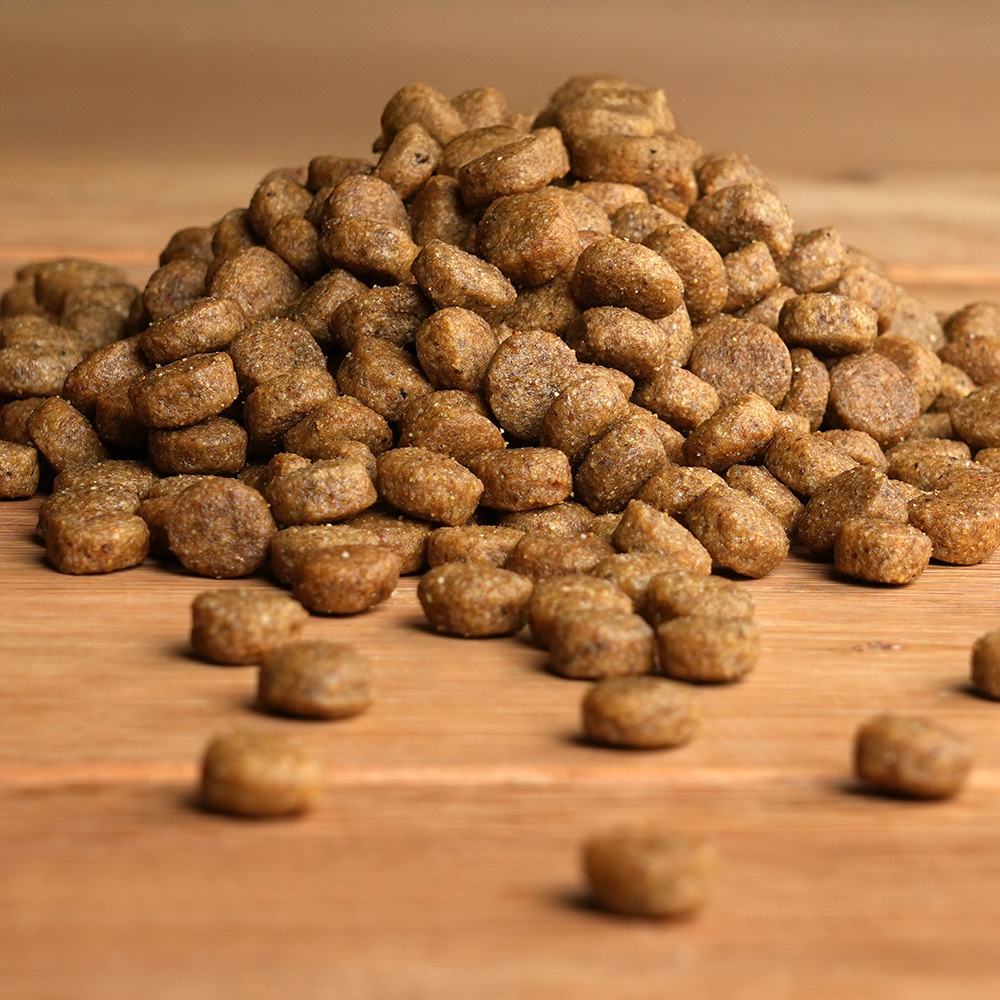 alsa-nature Leber-Diät Trockenfutter, 1,5 kg, Hundefutter trocken alsa-nature Leber-Diät Trockenfutter, 1,5 kg, Hundefutter trocken von alsa-nature