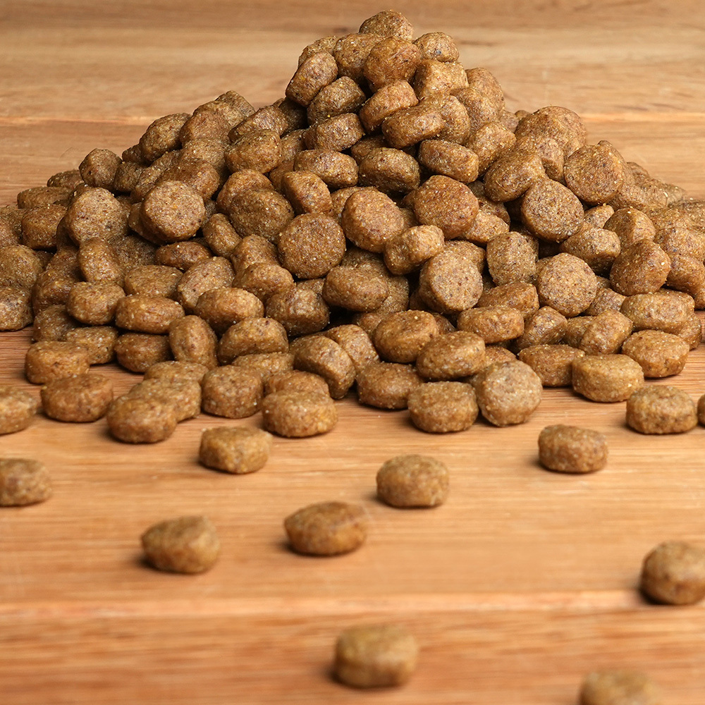 alsa-nature Nieren-Diät Trockenfutter, 1,5 kg, Hundefutter trocken alsa-nature Nieren-Diät Trockenfutter, 1,5 kg, Hundefutter trocken von alsa-nature