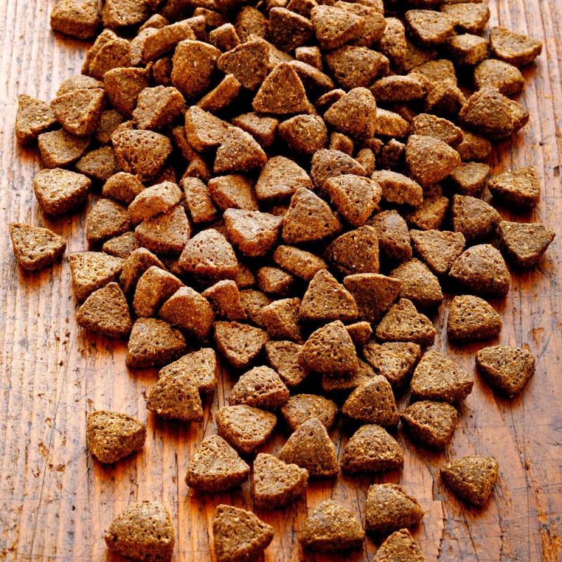 alsa-nature Strauß Single-Protein Trockenfutter, 12 kg, Hundefutter trocken von alsa-nature