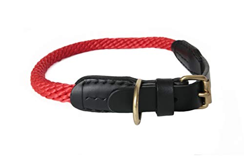 Alvalley Hunde Halsband, Lederhalsband mit Schnalle 3/4 Zoll Dicke x 46 cm lang, rot von alvalley