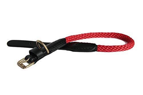 Alvalley Hunde Halsband, Lederhalsband mit Schnalle 3/4 in Stärke x 51 cm lang, rot von alvalley