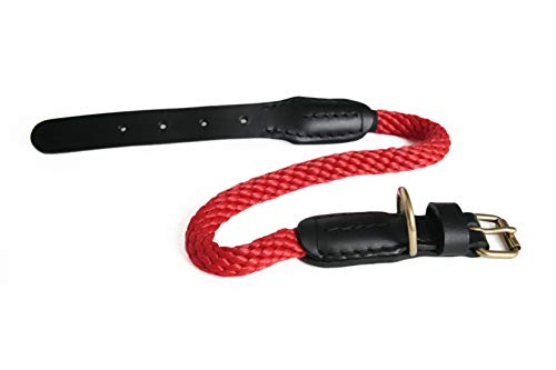 Alvalley Hunde Lederhalsband mit Schnalle 3/4 Zoll Dicke x 56 cm lang, rot von alvalley