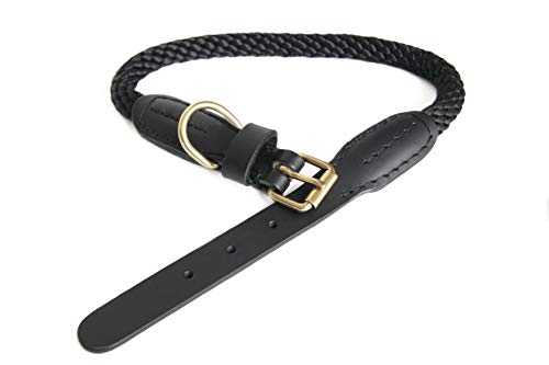 Alvalley Hunde Lederhalsband mit Schnalle 3/4 Zoll Dicke x 56 cm lang, schwarz von alvalley