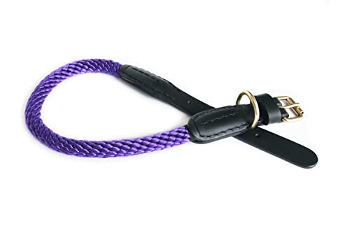 Alvalley Lederhalsband mit Schnalle 3/4 Zoll Dicke x 46 cm lang, violett von alvalley