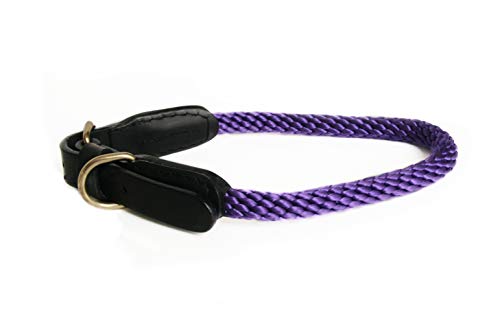 Alvalley Lederhalsband mit Schnalle 3/4 Zoll Dicke x 56 cm lang, violett von alvalley