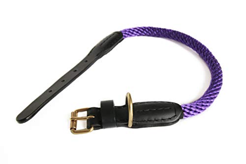 Alvalley Lederhalsband mit Schnalle 3/4 in Stärke x 51 cm lang, violett von alvalley