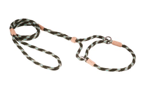 Alvalley Martingale Hundeleine mit Halsband - Weiche Nylonleine für Hunde - Kommt mit Tagua Perlenstopper - Perfekt für kleine, mittelgroße Hunde - Geeignet für Training & Spaziergang von alvalley