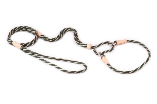 Alvalley Martingale Hundeleine mit Halsband - Weiche Nylonleine für Hunde - Kommt mit Tagua Perlenstopper - Perfekt für kleine, mittelgroße Hunde - Geeignet für Training & Spaziergang von alvalley