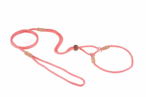 Alvalley Martingale Hundeleine mit Halsband - Weiche Nylonleine für Hunde - Kommt mit Tagua Perlenstopper - Perfekt für kleine, mittelgroße Hunde - Geeignet für Training & Spaziergang von alvalley