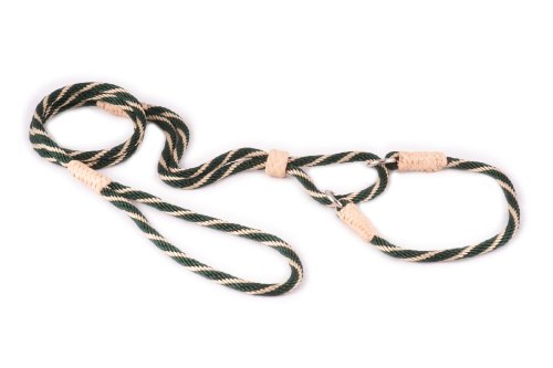 Alvalley Martingale Hundeleine mit Halsband - Weiche Nylonleine für Hunde - Kommt mit Tagua Perlenstopper - Perfekt für kleine, mittelgroße Hunde - Geeignet für Training & Spaziergang von alvalley