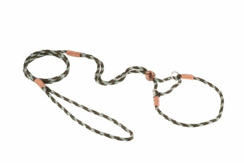 Alvalley Martingale Hundeleine mit Halsband - Weiche Nylonleine für Hunde - Kommt mit Tagua Perlenstopper - Perfekt für kleine, mittelgroße Hunde - Geeignet für Training & Spaziergang von alvalley