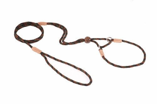 Alvalley Martingale Hundeleine mit Halsband - Weiche Nylonleine für Hunde - Kommt mit Tagua Perlenstopper - Perfekt für kleine, mittelgroße Hunde - Geeignet für Training & Spaziergang von alvalley