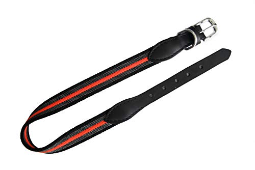 Alvalley Reflektierendes Hundehalsband – Strapazierfähiges Nylon-Gurtband Hunde-Trainingshalsband – Trainingshalsband für Hunde mit Schnalle – Ideal für kleine, mittelgroße und große Hunde (schwarz, von alvalley