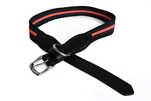 Alvalley Reflektierendes Hundehalsband – Strapazierfähiges Nylon-Gurtband Hunde-Trainingshalsband – Trainingshalsband für Hunde mit Schnalle – Ideal für kleine, mittelgroße und große Hunde (schwarz, von alvalley