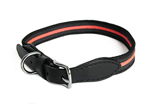 Alvalley Reflektierendes Hundehalsband – Strapazierfähiges Nylon-Gurtband Hunde-Trainingshalsband – Trainingshalsband für Hunde mit Schnalle – Ideal für kleine, mittelgroße und große Hunde (schwarz, von alvalley