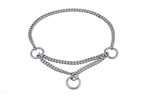 alvalley Martingal Kette Show Halsband für Hunde Stärke 1,2 mm x 10 in, Small, Chrome Plate von alvalley