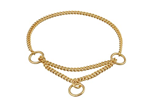 alvalley Martingal Kette Zeigen, Halsband für Hunde Stärke 1.4 mm x 12 in, Small, Gold Plate von alvalley