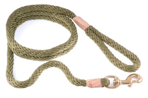 alvalley Nylon Snap Leine für Hunde 13 mm x 6 ft, X-Small, Olivgrün von alvalley