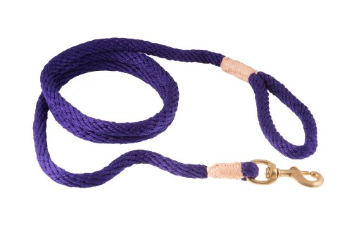 alvalley Nylon Snap Leine für Hunde 13 mm x 6 ft, X-Small, Violett von alvalley