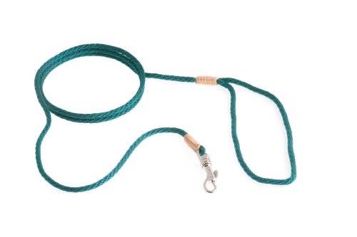 alvalley Nylon Snap Leine für Hunde 4 mm x 4 ft, X-Small, Pine Green von alvalley