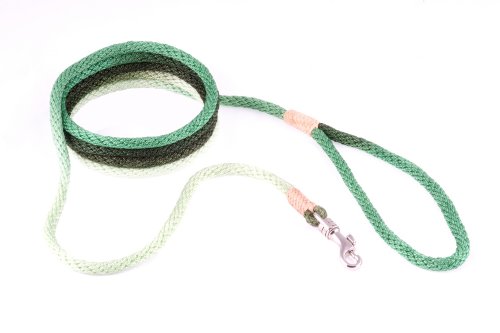 alvalley Nylon Snap Leine für Hunde 6 mm x 4 ft, X-Small, Green Multicolor von alvalley