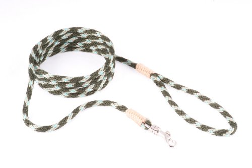 alvalley Nylon Snap Leine für Hunde 6 mm x 4 ft, X-Small, Grün Combo von alvalley