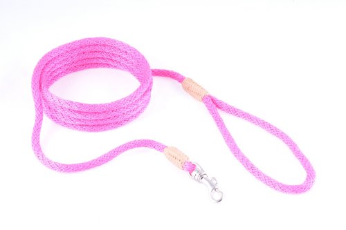 alvalley Nylon Snap Leine für Hunde 6 mm x 4 ft, X-Small, Hot Pink von alvalley