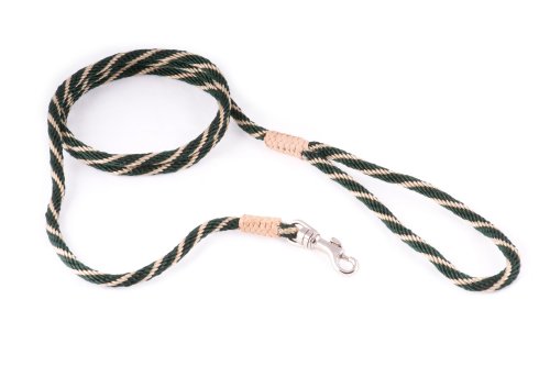 alvalley Nylon Snap Leine für Hunde 6 mm x 4 ft, X-Small, Hunter Green - Gold von alvalley