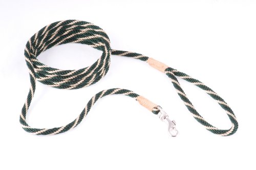 alvalley Nylon Snap Leine für Hunde 6 mm x 4 ft, X-Small, Hunter Green - Gold von alvalley