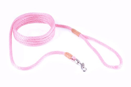 alvalley Nylon Snap Leine für Hunde 6 mm x 4 ft, X-Small, Patel Pink von alvalley