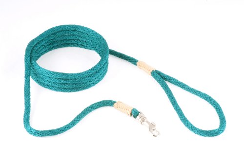 alvalley Nylon Snap Leine für Hunde 6 mm x 4 ft, X-Small, Pine Green von alvalley