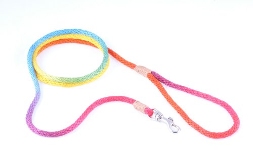 alvalley Nylon Snap Leine für Hunde 6 mm x 4 ft, X-Small, Rainbow Multicolor von alvalley