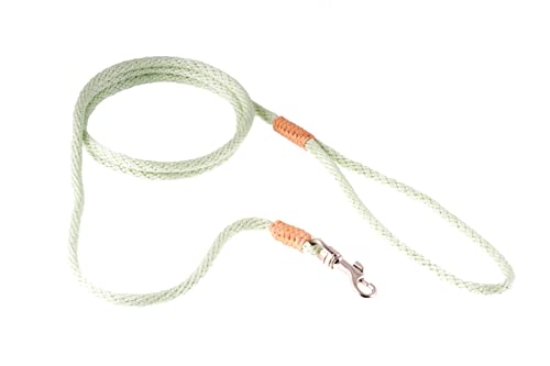 alvalley Nylon Snap Leine für Hunde 6 mm x 4 ft, XL, Light Lime von alvalley