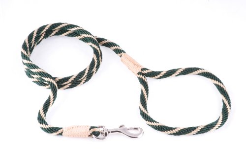 alvalley Nylon Snap Leine für Hunde 8 mm x 4 ft, Small, Hunter Green - Gold von alvalley