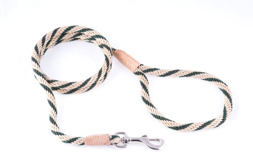 alvalley Nylon Snap Leine für Hunde 8 mm x 4 ft, s, Gold - Hunter Green von alvalley